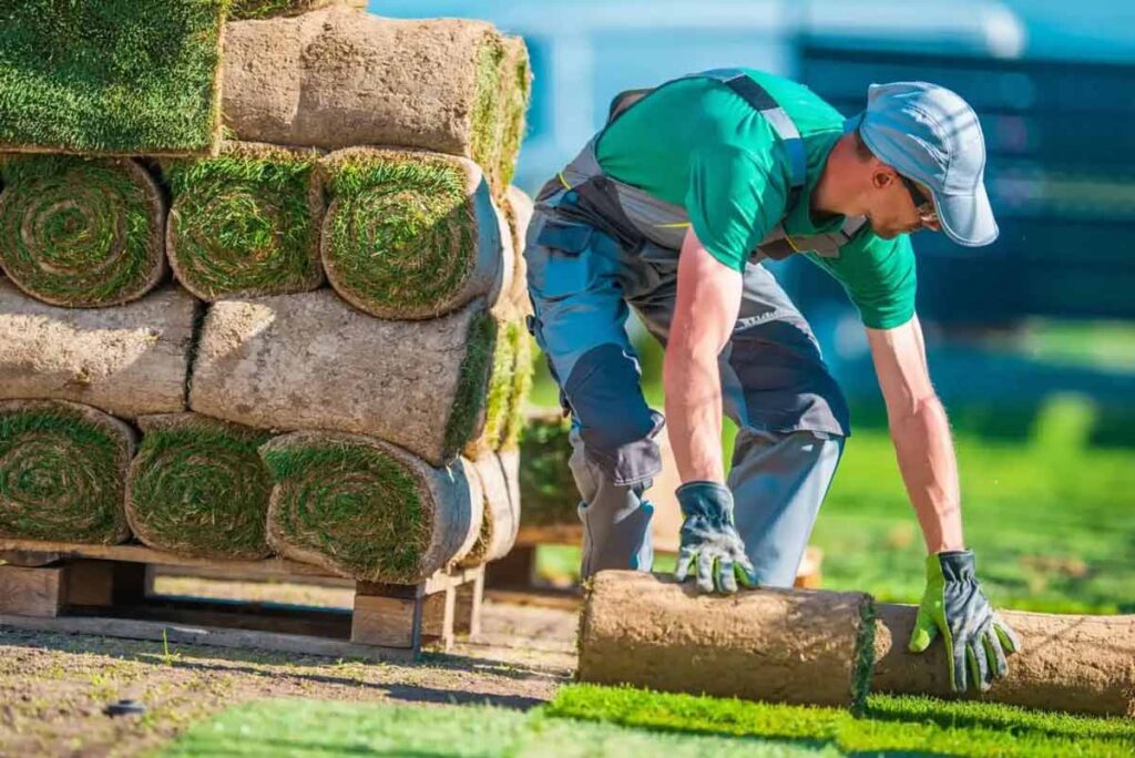 A person kneels in a garden, rolling out fresh sod.