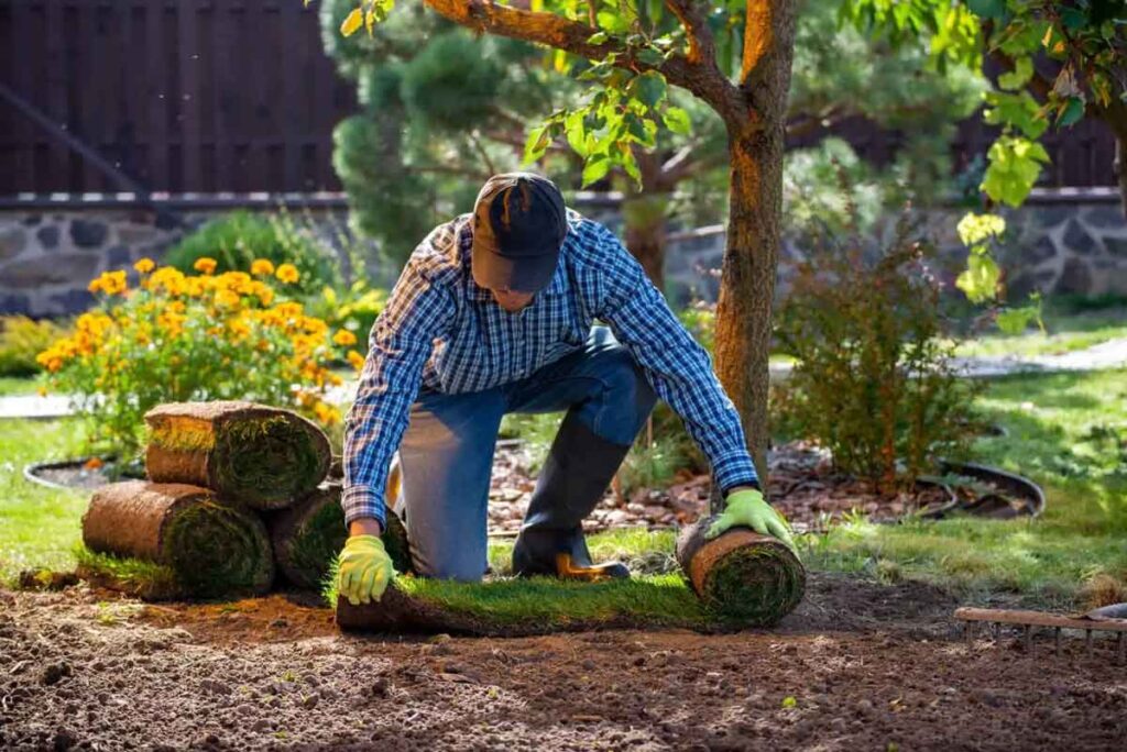 A person in a plaid shirt and cap kneels in a garden, rolling out fresh sod.